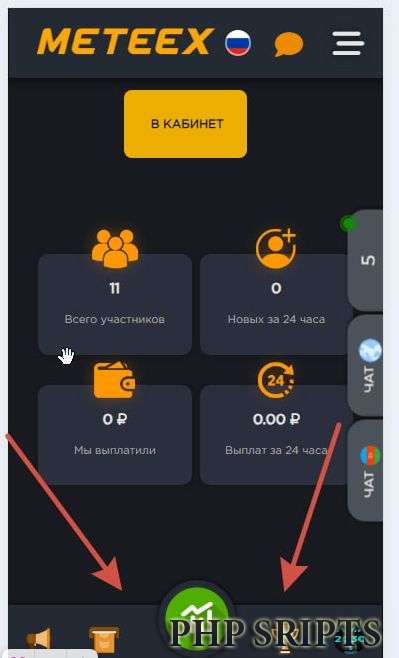 Рип метикса